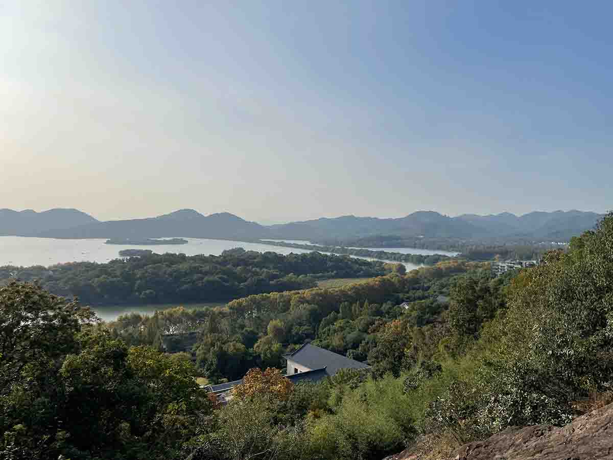 Local site